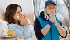 Hatschi! Influenza B, Rhinoviren sowie Hasel- und Erlenpollen setzen viele Österreicher gerade ...