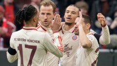 Die Bayern hatten wieder Grund zum Jubeln. (Bild: EPA/RONALD WITTEK)