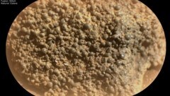Das seltsame Gestein besteht aus Hunderten von millimetergroßen Kugeln. (Bild: NASA/JPL-Caltech/LANL/CNES/IRAP)