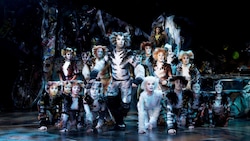 Hits am laufenden Band, atemberaubende Tanznummern und eine starke Story: Das ist die Neuinszenierung von „Cats“. (Bild: Alessandro Pinna)