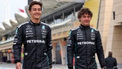 Wie lange sind George Russell (links) und Kimi Antonelli noch Teamkollegen? (Bild: GEPA)