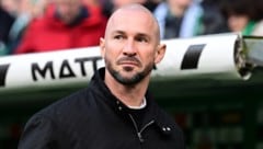 Christian Ilzer und die TSG Hoffenheim – bisher noch keine Liebesgeschichte.  (Bild: GEPA)