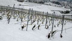 In der Schweiz ist Mitte April wieder der Winter zurückgekehrt. (Bild: AFP/FABRICE COFFRINI)