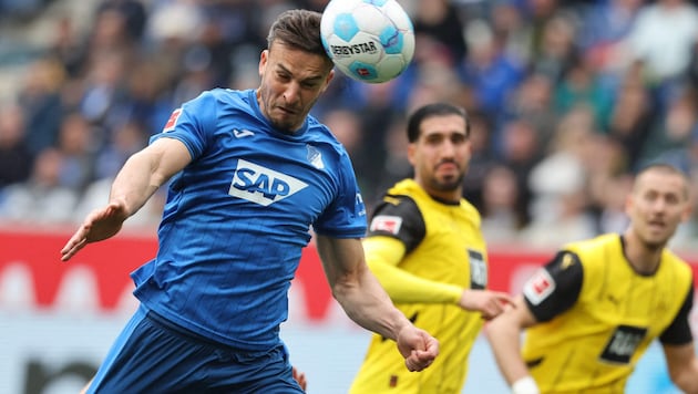 Stürmer Haris Tabakovic könnte Hoffenheim bald verlassen.