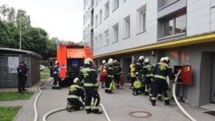 Feuerwehr, Rettung und Polizei waren bei Brand in Linz.- (Bild: BF Linz)