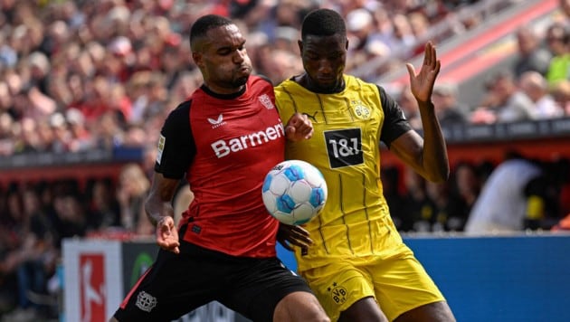 Gelb gewinnt bei Bayer Leverkusen gegen Borussia Dortmund … (Bild: AFP/INA FASSBENDER)
