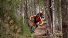 Biker sind häufig auf dem Peter Sagan-Trail unterwegs.