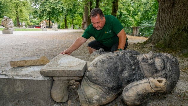 Obergärtner Peter Ebner begutachtete den Schaden. Der arg beschädigte Zwerg dürfte laut ersten ...