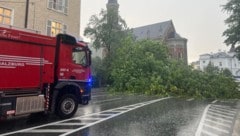 In der Schwarzstraße fiel ein Baum über die gesamte Straße...