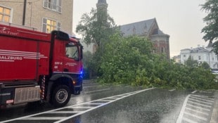 In der Schwarzstraße fiel ein Baum über die gesamte Straße...